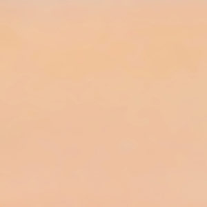 SNS Gelous Color - NC12 - Nude Series
