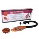 Nail Trainning Hand
