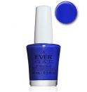 Ever Glaze Extended Wear 0.5 oz - Case of The Mondaze - 82307
