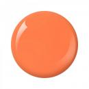 Nitro Collection 2oz - #066