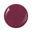 Nitro Collection 2oz - #191