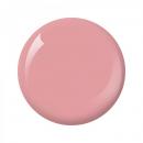 Nitro Collection 2oz - #196