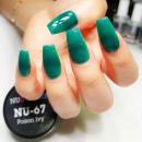 Nugenesis Dipping Powder - Nu67 Poison Ivy  2oz