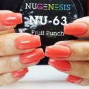 Nugenesis Dipping Powder - NU63 Fruit Punch  2oz