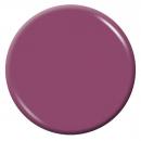 EDS DUO  #217  PURPLE TULIP