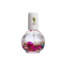 Blossom Cuticle Oil - Grape 1 oz