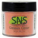 SNS Gelous Color - 04 - Like It Already
