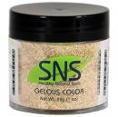 SNS Gelous Color - DS24 - Designer Series